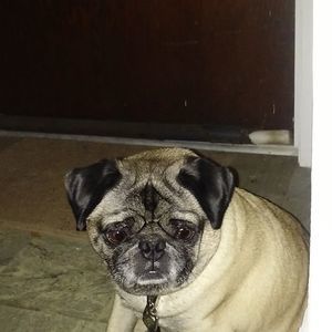 Meet your Posher, Sherry